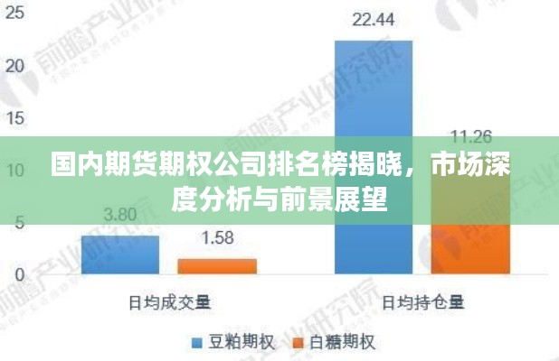 国内期货期权公司排名榜揭晓，市场深度分析与前景展望
