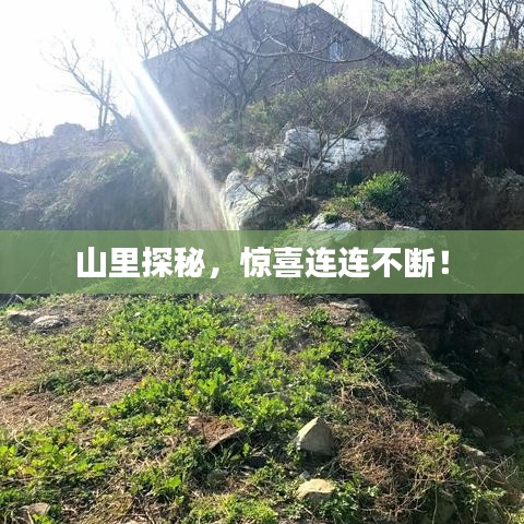 山里探秘，惊喜连连不断！