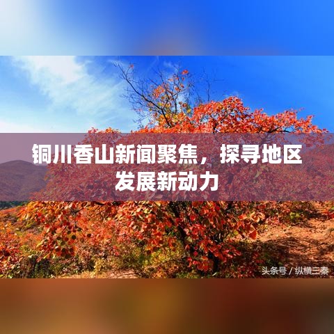 铜川香山新闻聚焦，探寻地区发展新动力
