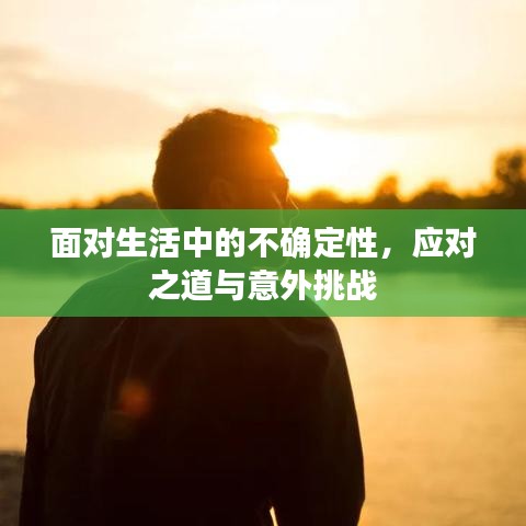 面对生活中的不确定性，应对之道与意外挑战