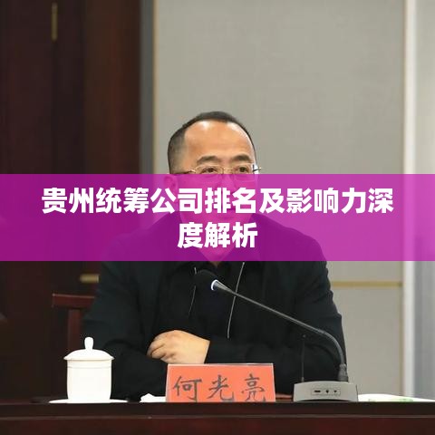 贵州统筹公司排名及影响力深度解析