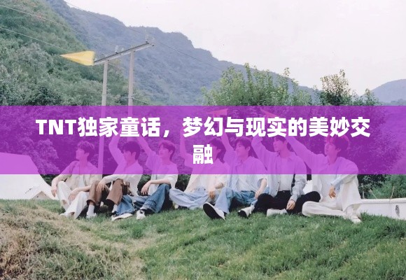 TNT独家童话，梦幻与现实的美妙交融