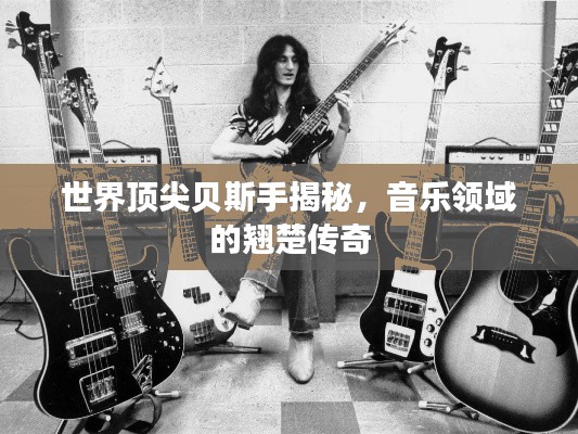 世界顶尖贝斯手揭秘，音乐领域的翘楚传奇