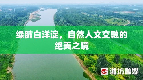 绿肺白洋淀，自然人文交融的绝美之境