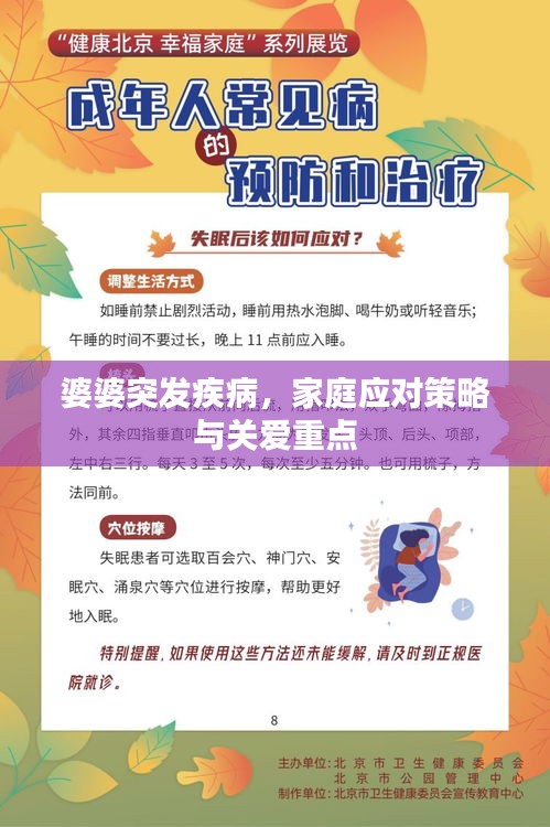 婆婆突发疾病，家庭应对策略与关爱重点