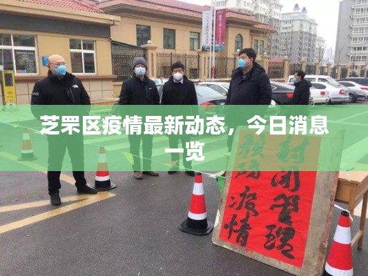 芝罘区疫情最新动态，今日消息一览