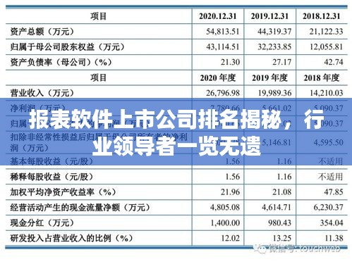 报表软件上市公司排名揭秘，行业领导者一览无遗