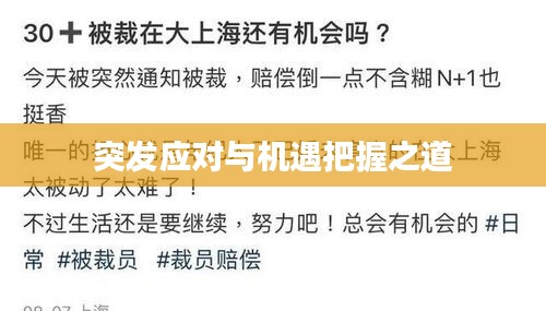 突发应对与机遇把握之道