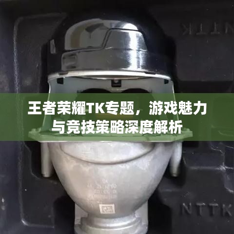 王者荣耀TK专题，游戏魅力与竞技策略深度解析