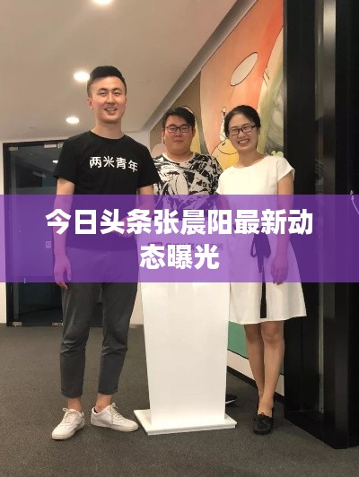 今日头条张晨阳最新动态曝光