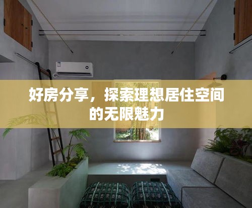 好房分享，探索理想居住空间的无限魅力