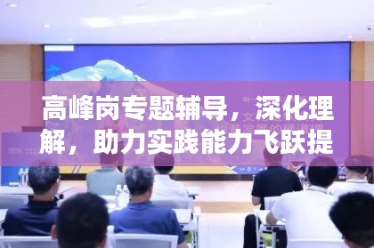 高峰岗专题辅导，深化理解，助力实践能力飞跃提升的关键途径