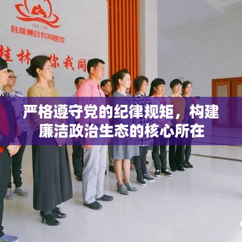 严格遵守党的纪律规矩，构建廉洁政治生态的核心所在