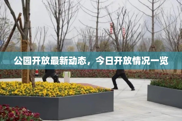 公园开放最新动态，今日开放情况一览