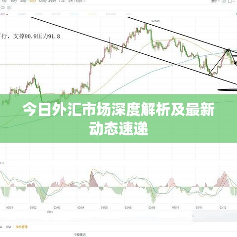 今日外汇市场深度解析及最新动态速递