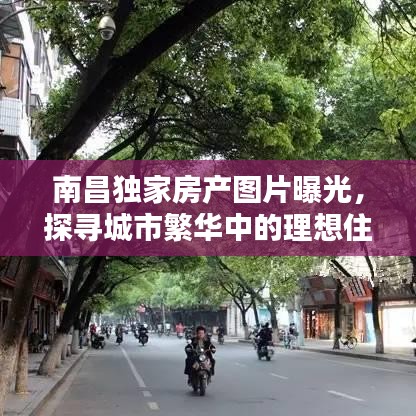 南昌独家房产图片曝光，探寻城市繁华中的理想住宅