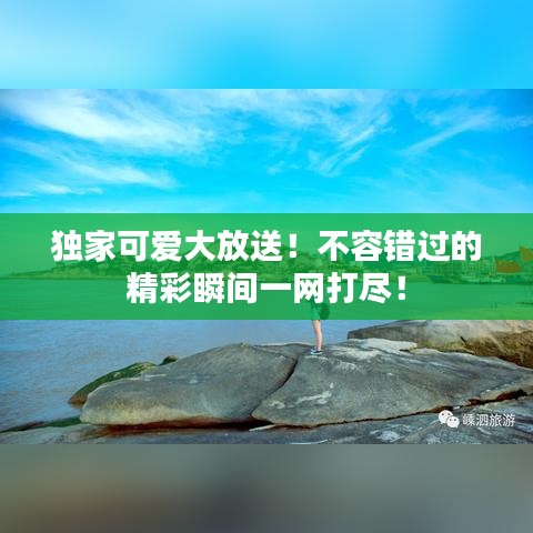 独家可爱大放送！不容错过的精彩瞬间一网打尽！