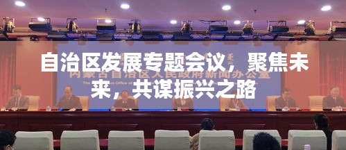 自治区发展专题会议，聚焦未来，共谋振兴之路