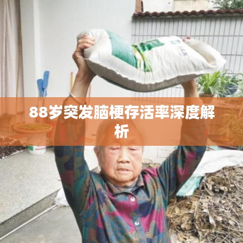 88岁突发脑梗存活率深度解析