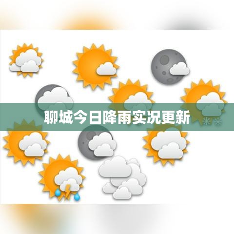聊城今日降雨实况更新