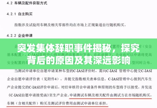 突发集体辞职事件揭秘，探究背后的原因及其深远影响