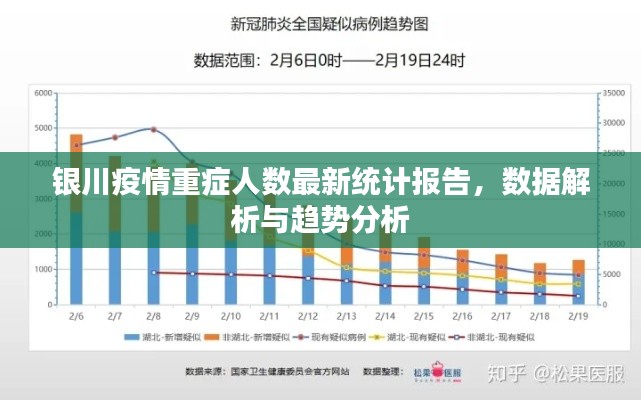 银川疫情重症人数最新统计报告，数据解析与趋势分析