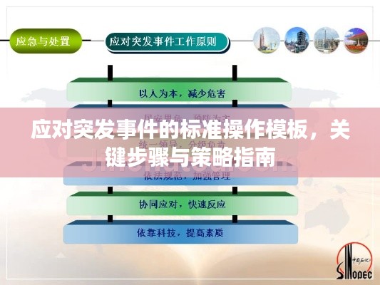 应对突发事件的标准操作模板，关键步骤与策略指南