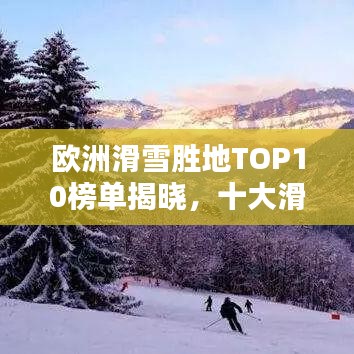 鸟面鹄形