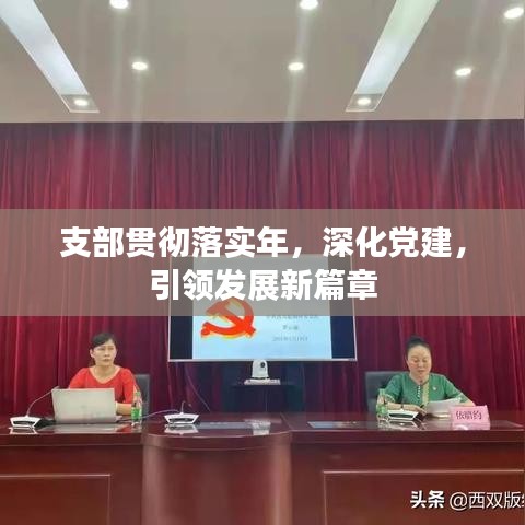 支部贯彻落实年，深化党建，引领发展新篇章
