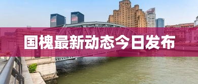 国槐最新动态今日发布