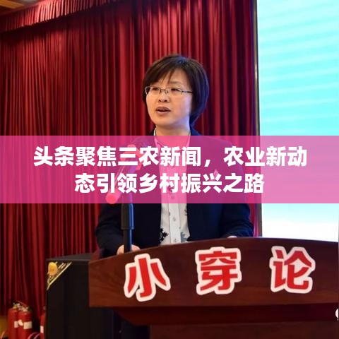 头条聚焦三农新闻，农业新动态引领乡村振兴之路