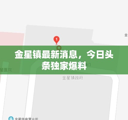金星镇最新消息，今日头条独家爆料