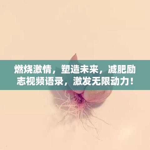 燃烧激情，塑造未来，减肥励志视频语录，激发无限动力！