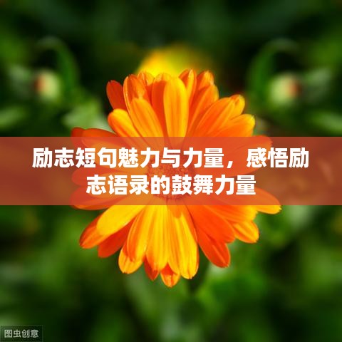 励志短句魅力与力量，感悟励志语录的鼓舞力量