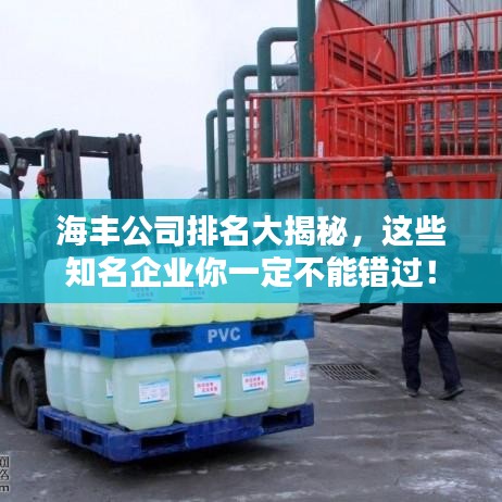 海丰公司排名大揭秘，这些知名企业你一定不能错过！