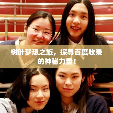 树叶梦想之旅，探寻百度收录的神秘力量！