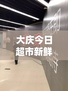 大庆今日超市新鲜视频报道，一窥最新动态！