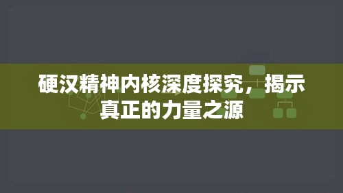 硬汉精神内核深度探究，揭示真正的力量之源