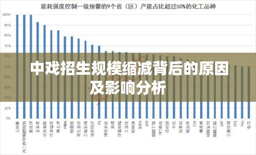 中戏招生规模缩减背后的原因及影响分析