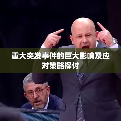 重大突发事件的巨大影响及应对策略探讨