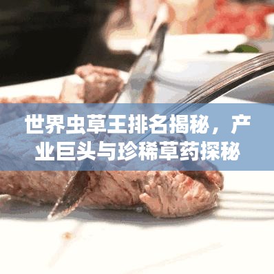 世界虫草王排名揭秘，产业巨头与珍稀草药探秘之旅