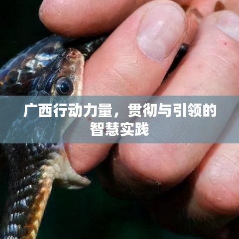 广西行动力量，贯彻与引领的智慧实践