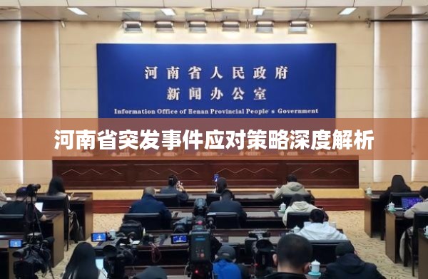 河南省突发事件应对策略深度解析