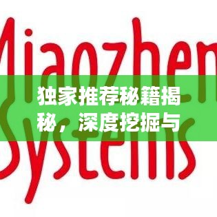 独家推荐秘籍揭秘，深度挖掘与精准表达之道