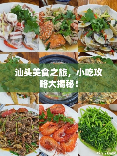 汕头美食之旅，小吃攻略大揭秘！