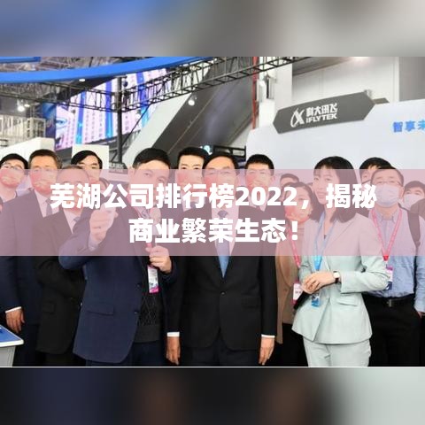 芜湖公司排行榜2022，揭秘商业繁荣生态！