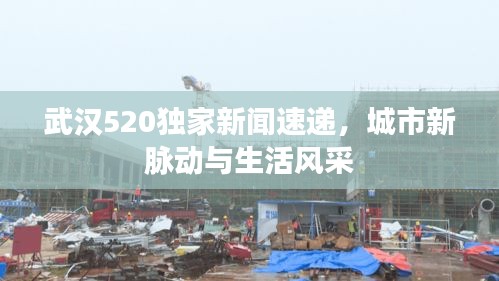 武汉520独家新闻速递，城市新脉动与生活风采