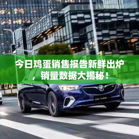 今日鸡蛋销售报告新鲜出炉，销量数据大揭秘！
