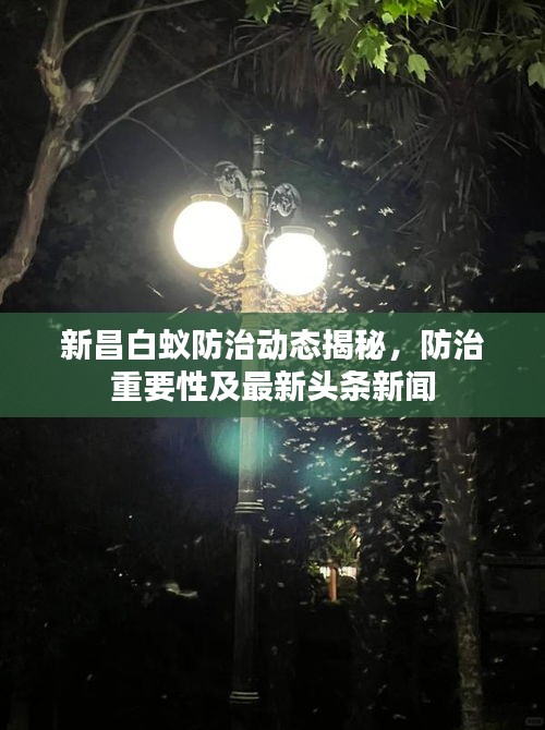 新昌白蚁防治动态揭秘，防治重要性及最新头条新闻