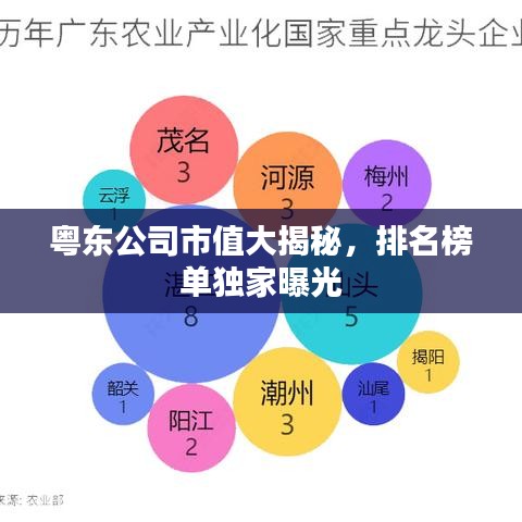 粤东公司市值大揭秘，排名榜单独家曝光